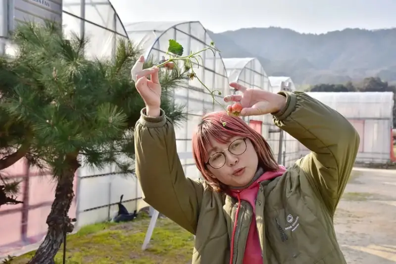 雄獅旅遊｜日本四國雙鐵道六天五夜行程推薦 伊予灘夕陽列車&千