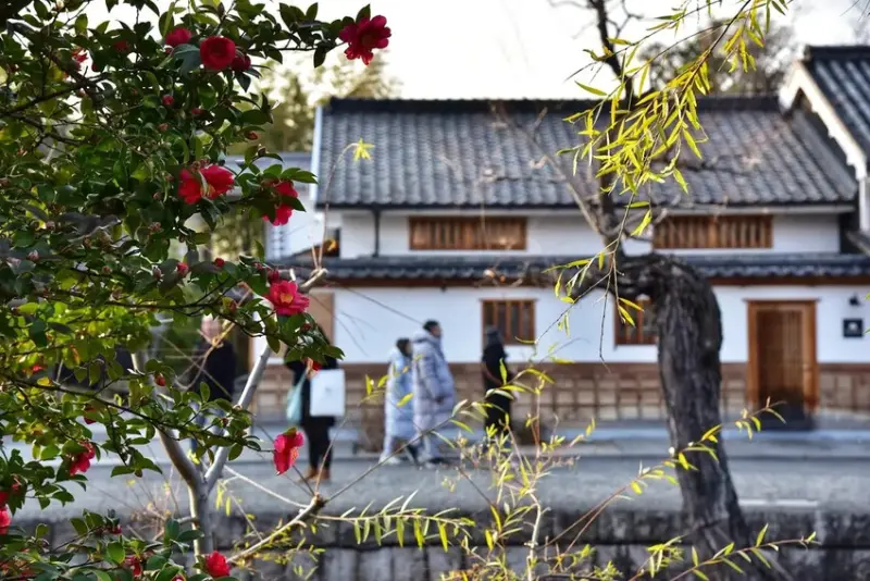 雄獅旅遊｜日本四國雙鐵道六天五夜行程推薦 伊予灘夕陽列車&千