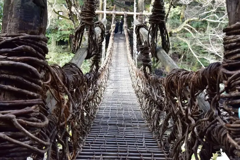 雄獅旅遊｜祖谷秘境葛藤橋