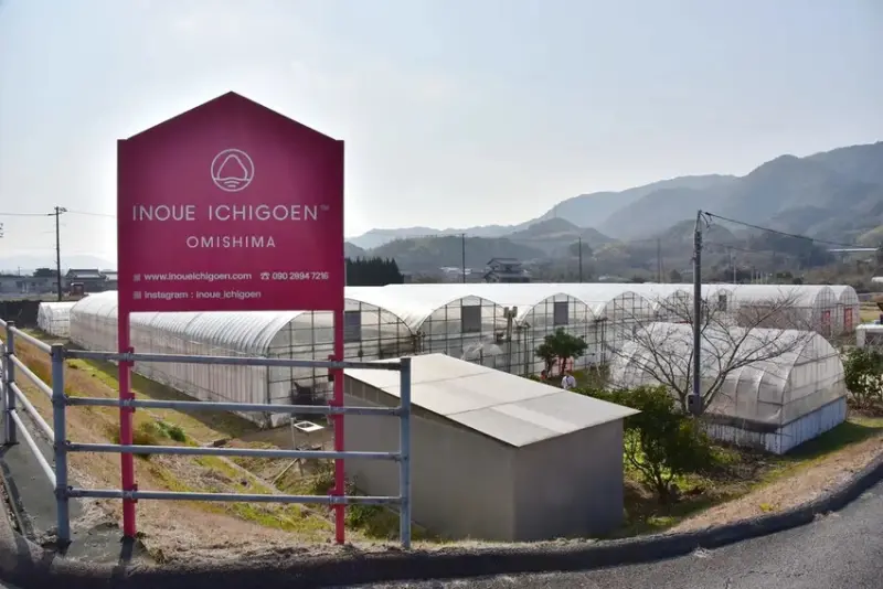 雄獅旅遊｜日本四國雙鐵道六天五夜行程推薦 伊予灘夕陽列車&千