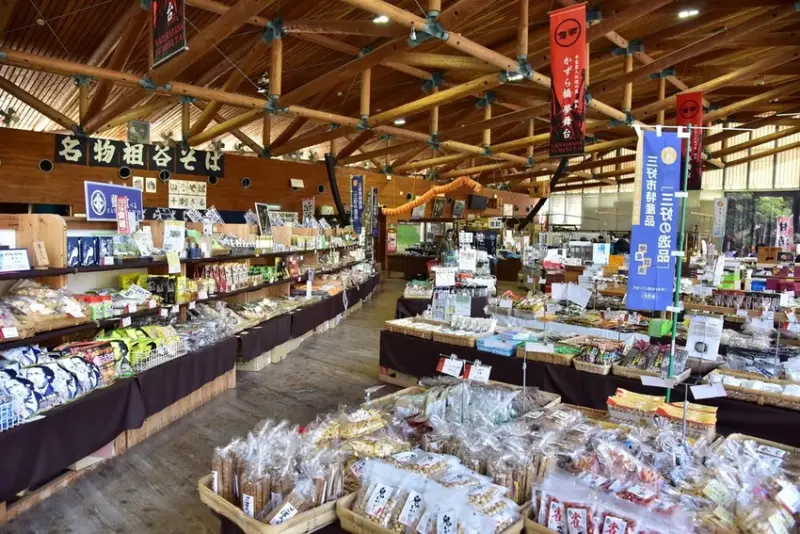 雄獅旅遊｜日本四國雙鐵道六天五夜行程推薦 伊予灘夕陽列車&千