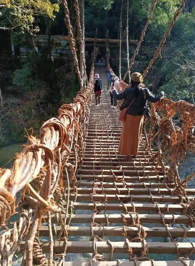 雄獅旅遊｜祖谷秘境葛藤橋