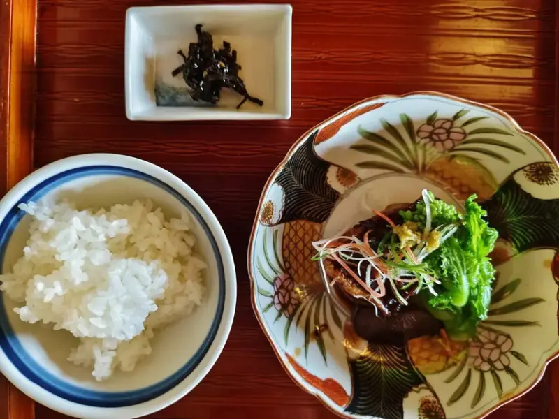 雄獅旅遊｜日本四國雙鐵道六天五夜行程推薦 伊予灘夕陽列車&千