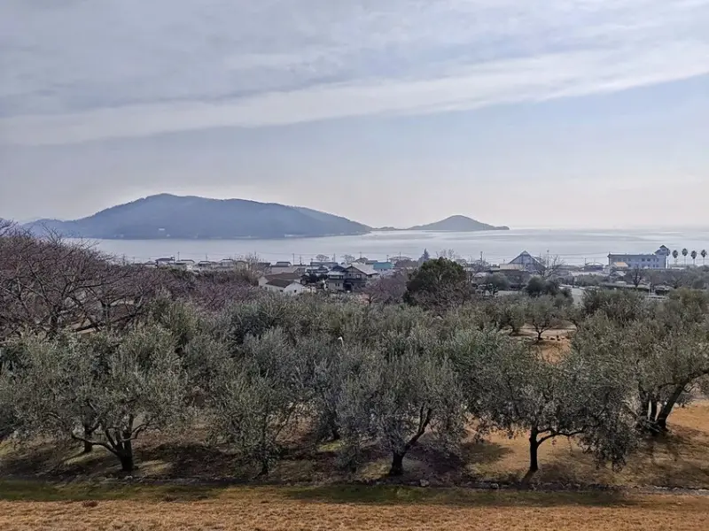 雄獅旅遊｜日本四國雙鐵道六天五夜行程推薦 伊予灘夕陽列車&千