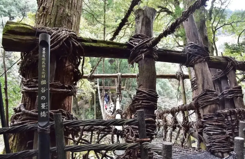 雄獅旅遊｜祖谷秘境葛藤橋