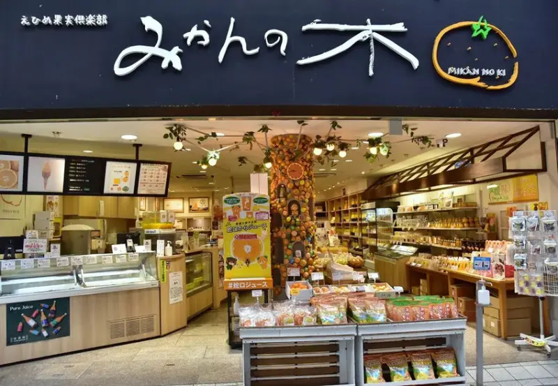 雄獅旅遊｜日本四國雙鐵道六天五夜行程推薦 伊予灘夕陽列車&千