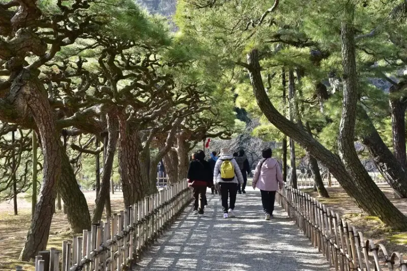 雄獅旅遊｜日本四國雙鐵道六天五夜行程推薦 伊予灘夕陽列車&千