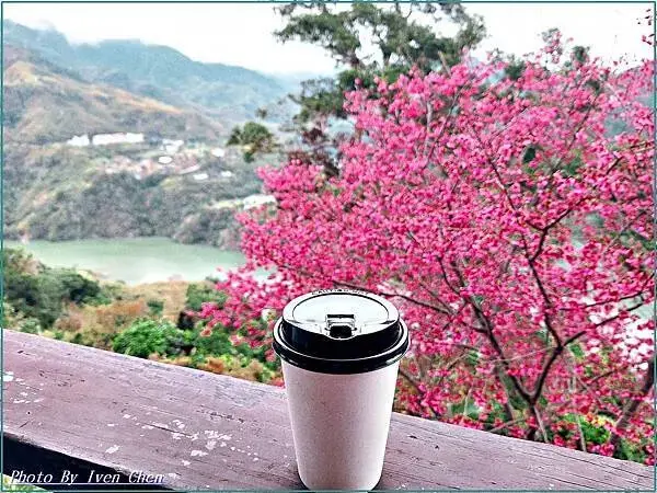 《桃園復興鄉景觀咖啡廳》角板山賞花的日子，青年活動中心比雅山