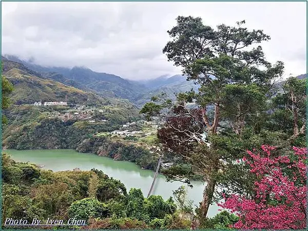 《桃園復興鄉景觀咖啡廳》角板山賞花的日子，青年活動中心比雅山