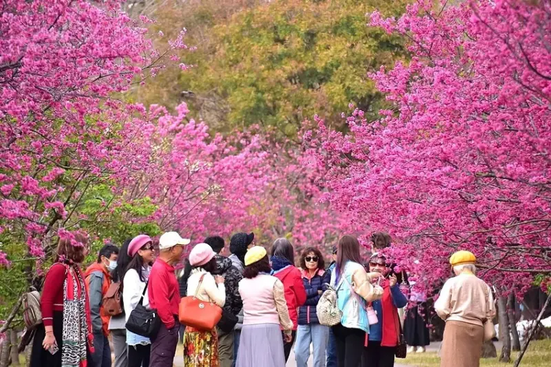 中科崴立櫻花公園