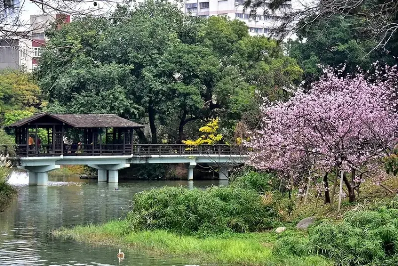 新竹公園麗池