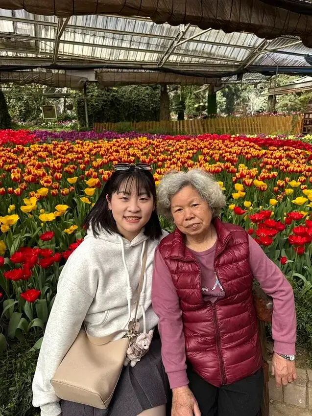 2025杉林溪森林生態渡假園區，椿寒櫻2/24即時現況🌸。