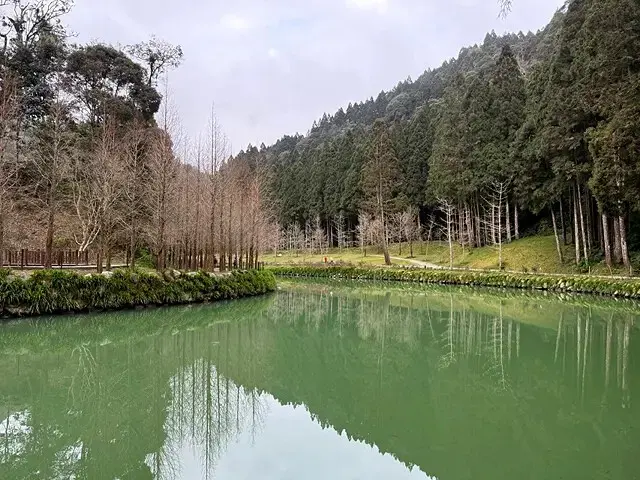 2025竹山紫南宮，來擲茭借發財金｜2025鳳凰谷鳥園生態園