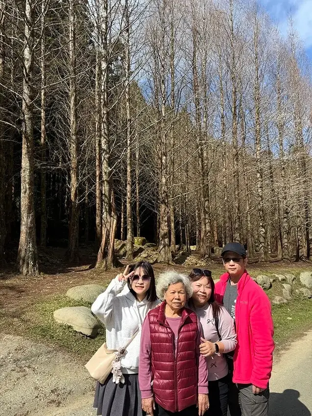 2025杉林溪森林生態渡假園區，椿寒櫻2/24即時現況🌸。