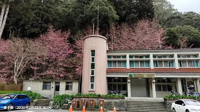 2025竹山紫南宮，來擲茭借發財金｜2025鳳凰谷鳥園生態園