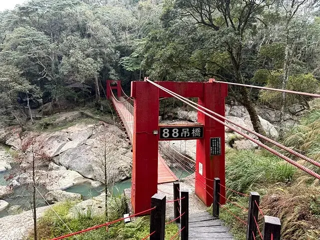 2025竹山紫南宮，來擲茭借發財金｜2025鳳凰谷鳥園生態園