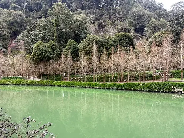 2025竹山紫南宮，來擲茭借發財金｜2025鳳凰谷鳥園生態園