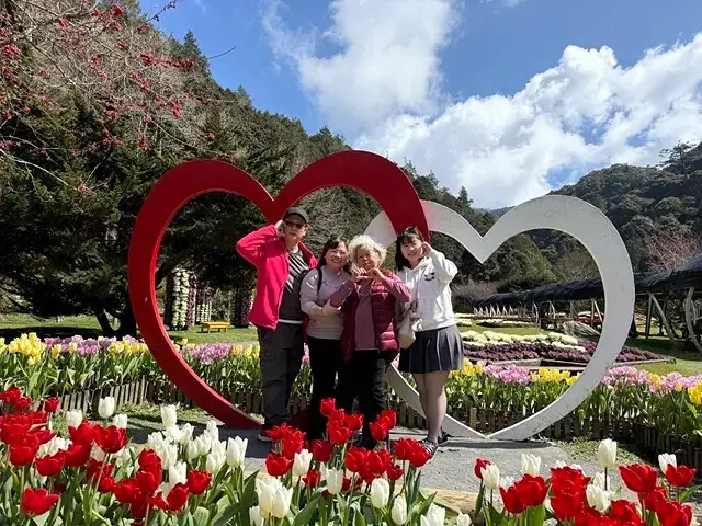 2025杉林溪森林生態渡假園區，椿寒櫻2/24即時現況🌸。