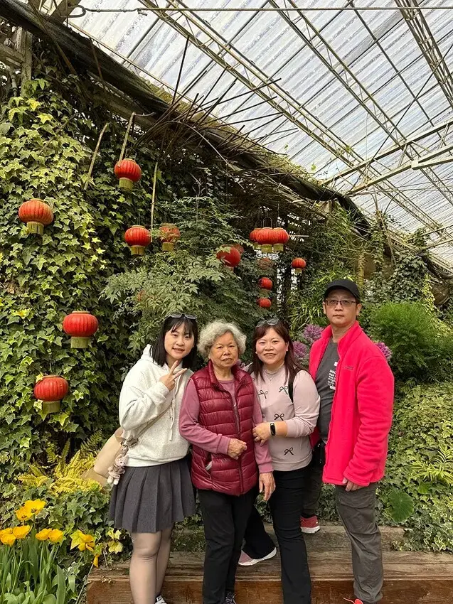 2025杉林溪森林生態渡假園區，椿寒櫻2/24即時現況🌸。