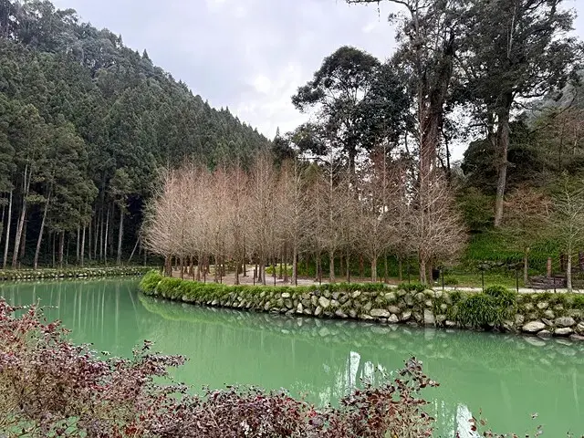 2025竹山紫南宮，來擲茭借發財金｜2025鳳凰谷鳥園生態園