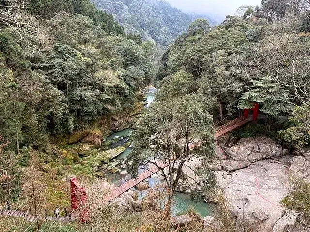 2025竹山紫南宮，來擲茭借發財金｜2025鳳凰谷鳥園生態園
