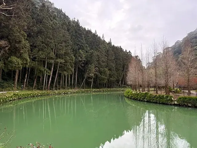 2025竹山紫南宮，來擲茭借發財金｜2025鳳凰谷鳥園生態園