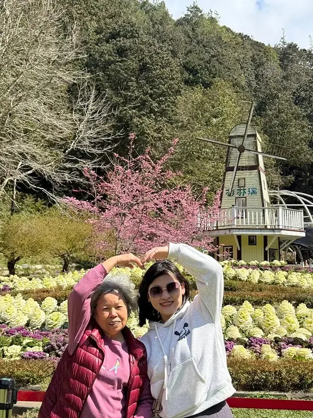 2025杉林溪森林生態渡假園區，椿寒櫻2/24即時現況🌸。