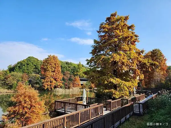 【玩。名古屋】名古屋近郊–各種電影回憶場景超好拍！推薦遊玩路