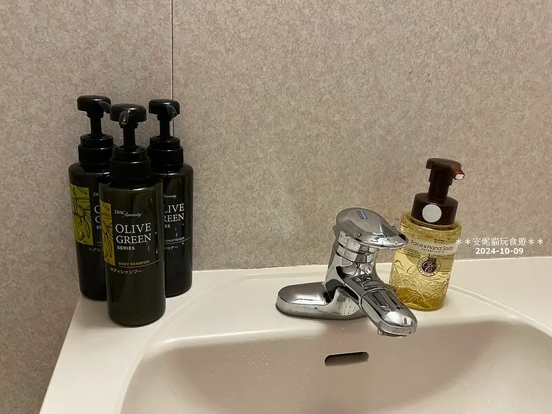 【2024日本關東。哈利波特的東京之旅】羽田機場往東京市區的