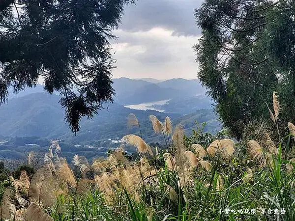 賞櫻遠眺阿姆坪集水區-悠然秘境小屋賞櫻 (3).jpg