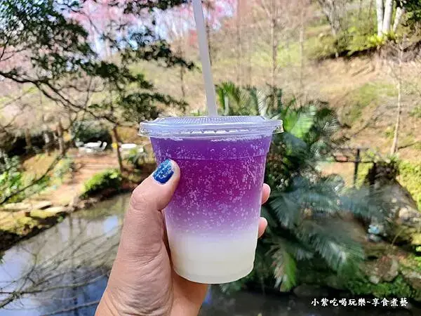 蝶豆花可爾必思氣泡飲-悠然秘境小屋 (2).jpg