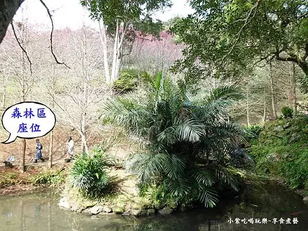 森林區座位-悠然秘境小屋 (2).jpg