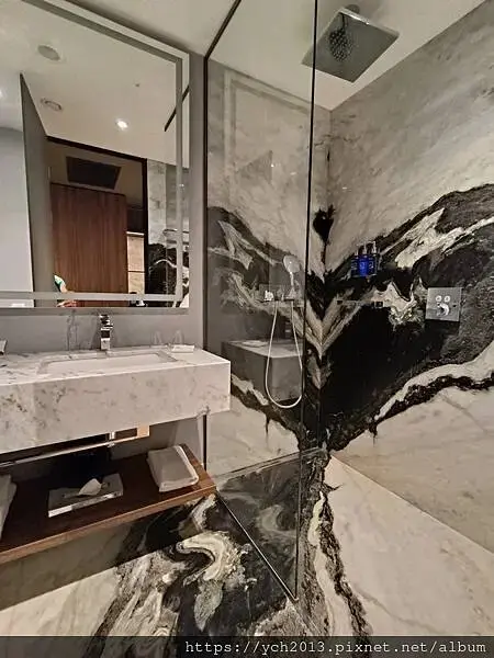 布拉索夫麗笙酒店Radisson Blu Hotel(羅馬尼