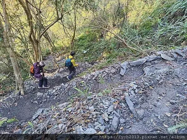 2025第一爬／新竹尖石養老段霞喀羅古道至白石吊橋巡楓趣