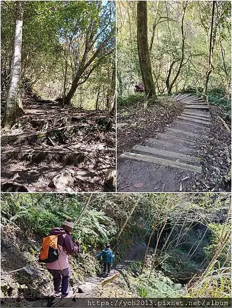 2025第一爬／新竹尖石養老段霞喀羅古道至白石吊橋巡楓趣