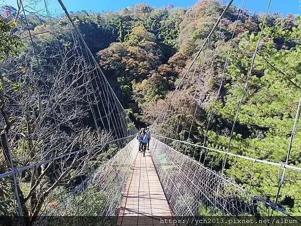 2025第一爬／新竹尖石養老段霞喀羅古道至白石吊橋巡楓趣