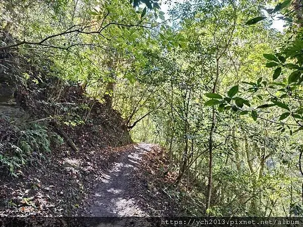 2025第一爬／新竹尖石養老段霞喀羅古道至白石吊橋巡楓趣