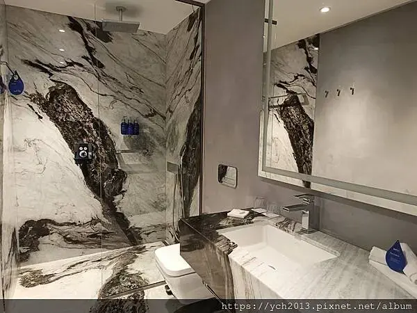 布拉索夫麗笙酒店Radisson Blu Hotel(羅馬尼