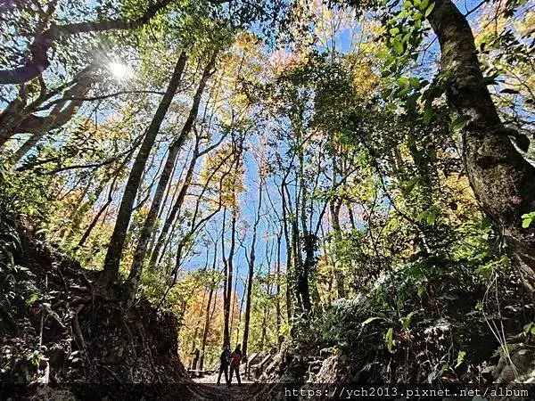 2025第一爬／新竹尖石養老段霞喀羅古道至白石吊橋巡楓趣