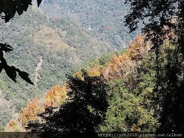 2025第一爬／新竹尖石養老段霞喀羅古道至白石吊橋巡楓趣
