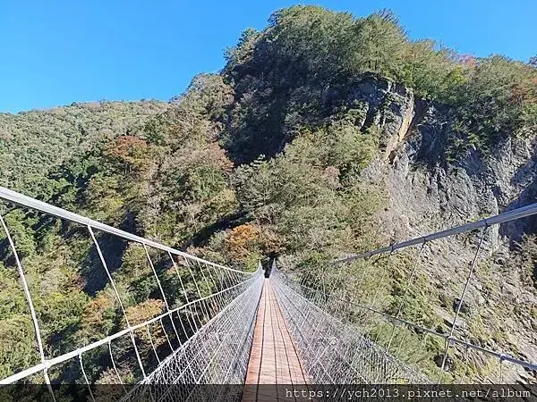 2025第一爬／新竹尖石養老段霞喀羅古道至白石吊橋巡楓趣