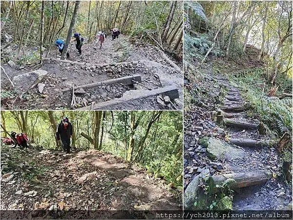 2025第一爬／新竹尖石養老段霞喀羅古道至白石吊橋巡楓趣