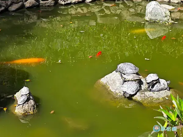 桃園77藝文町    08.png