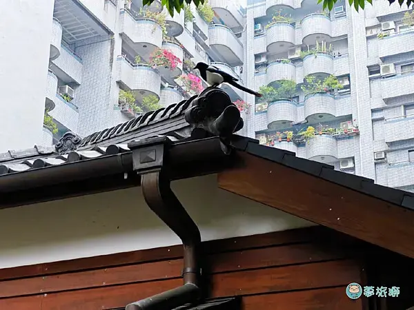 桃園77藝文町    11.png