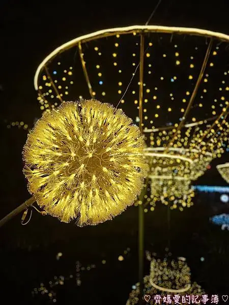 2025中港大排光雕展「光影中港  神幻秘境」