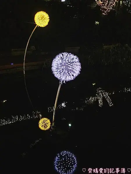 2025中港大排光雕展「光影中港  神幻秘境」