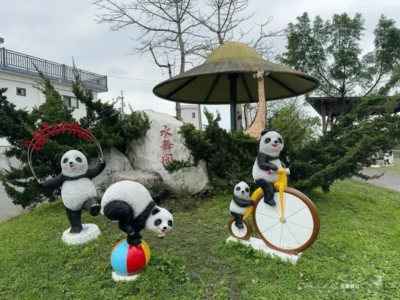 【安農溪驛站】超萌貓熊藝術裝置現身安農溪畔，快來拍照打卡遛小