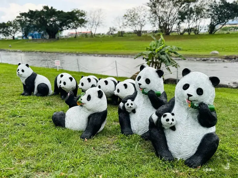 【安農溪驛站】超萌貓熊藝術裝置現身安農溪畔，快來拍照打卡遛小