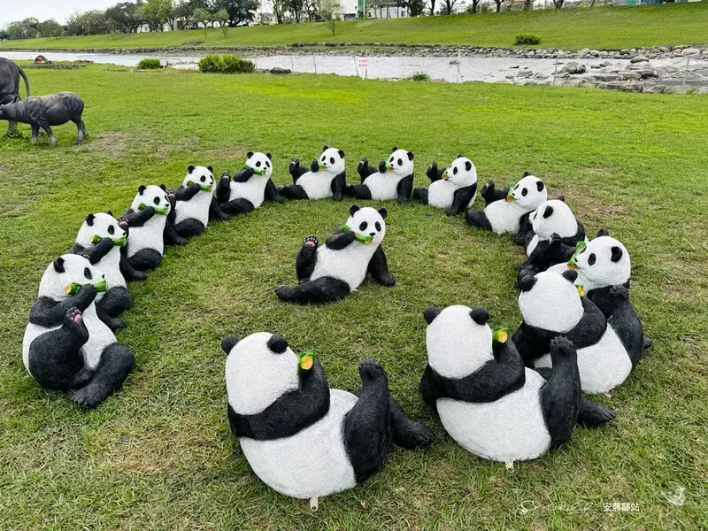 【安農溪驛站】超萌貓熊藝術裝置現身安農溪畔，快來拍照打卡遛小