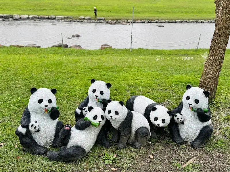 【安農溪驛站】超萌貓熊藝術裝置現身安農溪畔，快來拍照打卡遛小